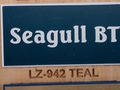 Teal Face, White Core Name Badge