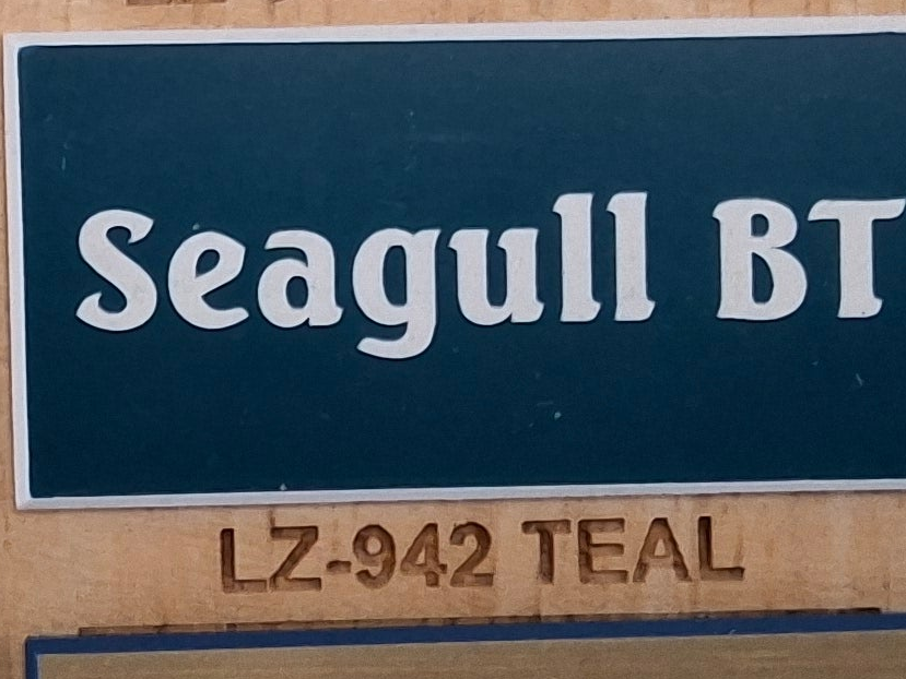 Teal Face, White Core Name Badge